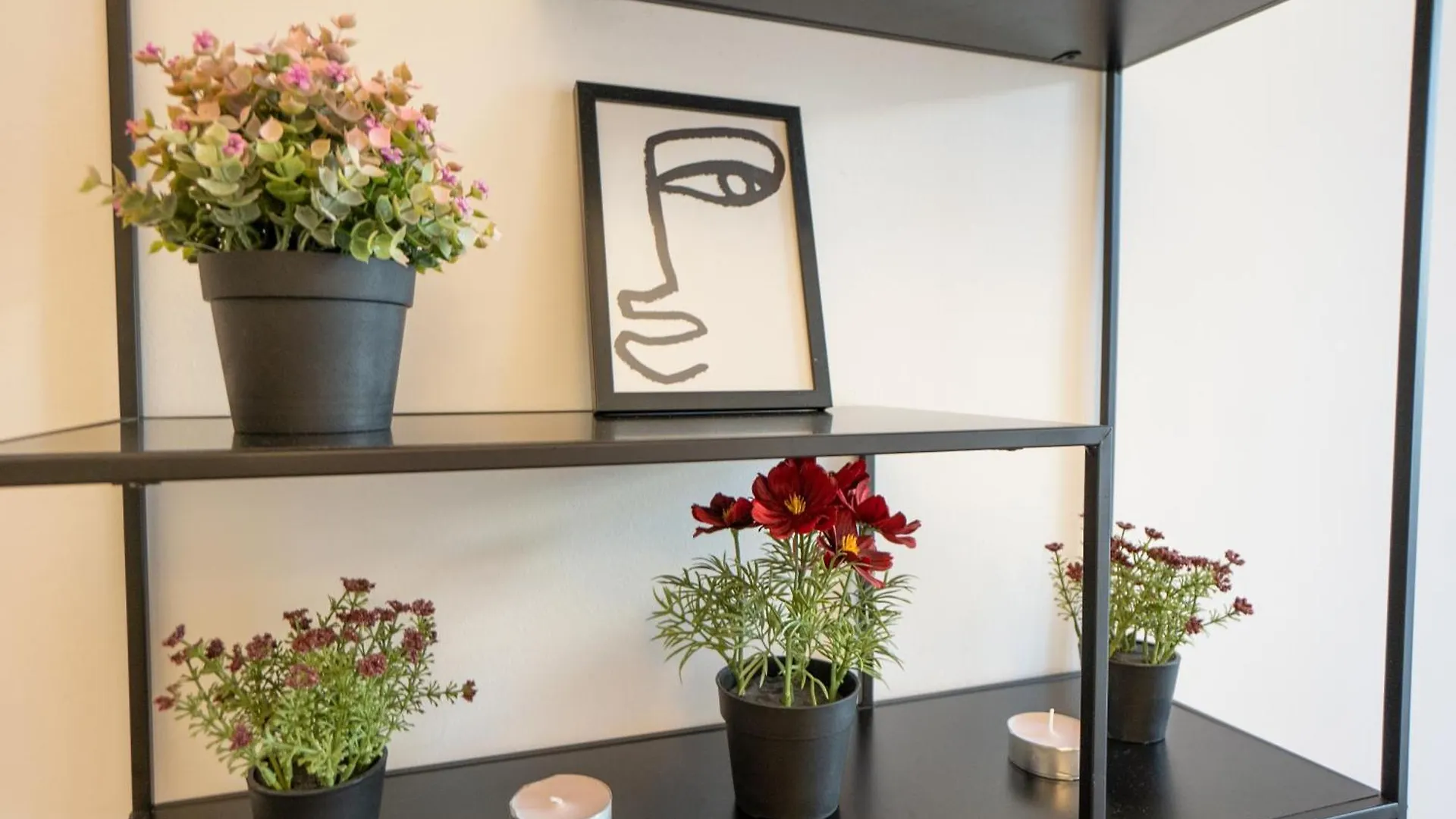 Supreme Apartment City Center فيينا